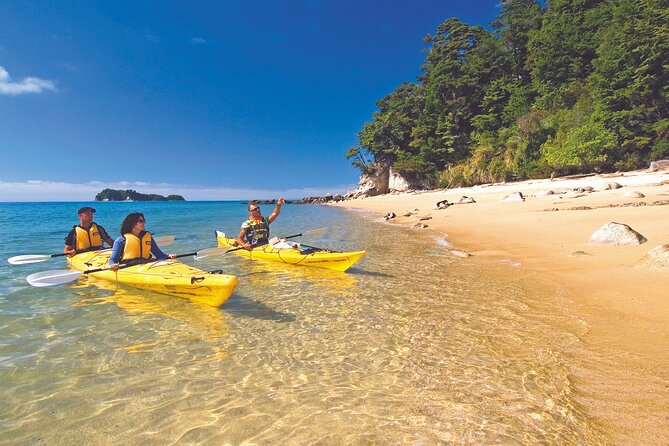 Seal Sanctuary Tour - Guided Kayaking - New Zealand - Why this half-day trip works well in Abel Tasman