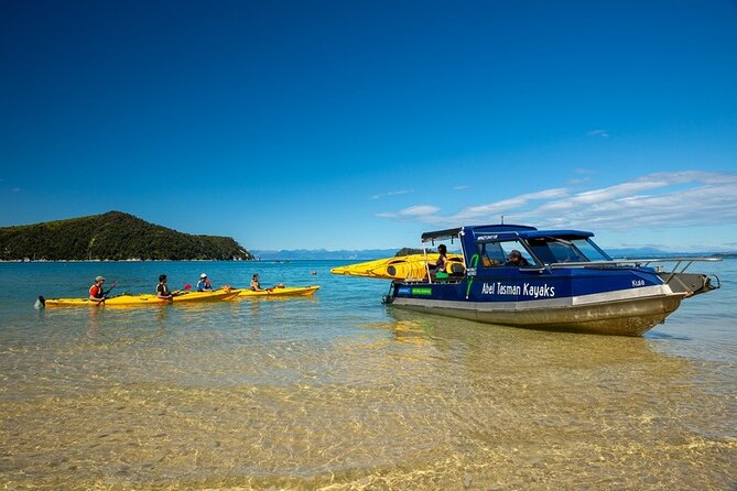 Seal Sanctuary Tour - Guided Kayaking - New Zealand - Watching kekeno and little blue penguins