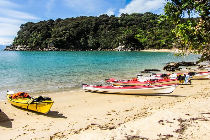 Seal Sanctuary Tour - Guided Kayaking - New Zealand - What the $161.35 price includes