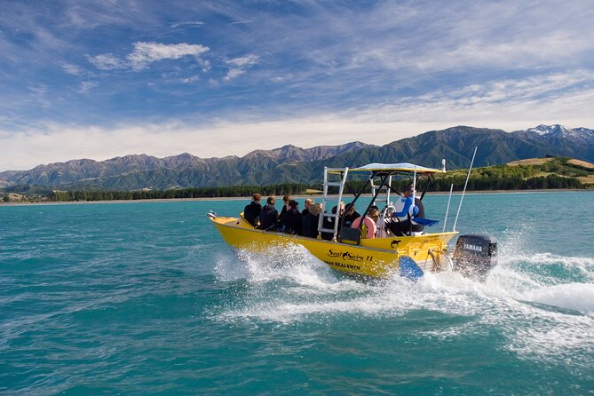 Seal Swimming Tour from Kaikoura - What happens at Gooches Beach Playground