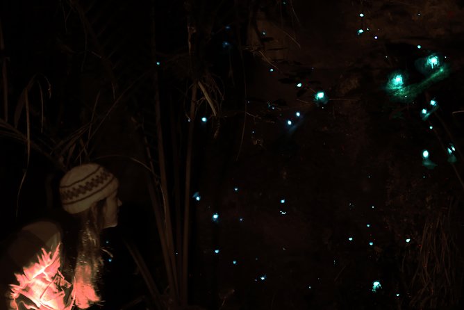 See Auckland's Secret Glow Worms - Walking into the glowworm dell