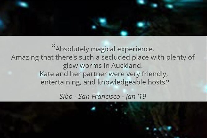 See Auckland's Secret Glow Worms - What the private format changes