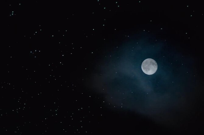See Auckland's Secret Glow Worms - Timing, weather, and comfort