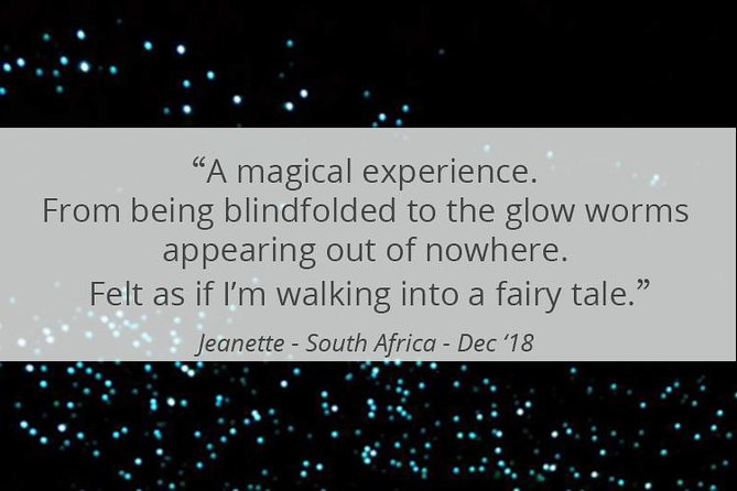 See Auckland's Secret Glow Worms - Who should book this Auckland experience