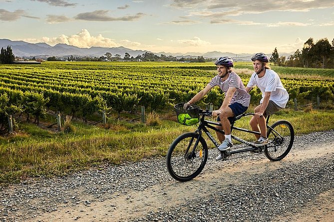 Self-Guided Biking Wine Tour (full day) in the Marlborough Region. - Safety, support, and private touring