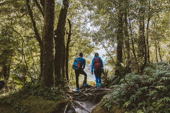 Self-Guided Milford Track Day Walk - Milford Sound - A self-guided walk gives you control