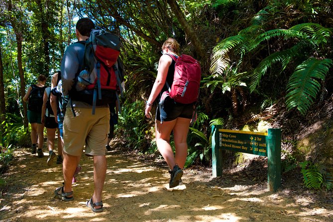 Self-Guided Queen Charlotte Track Walk from Picton - From Picton to the quiet waters of Queen Charlotte Sound