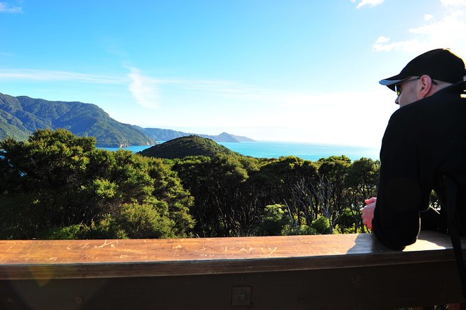 Self-Guided Queen Charlotte Track Walk from Picton - Furneaux Lodge and the waiting time