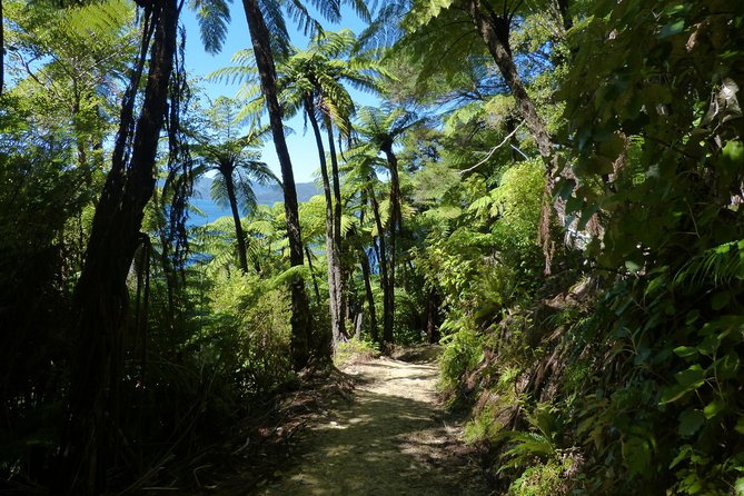 Self-Guided Queen Charlotte Track Walk from Picton - Who should choose this Queen Charlotte Track day?