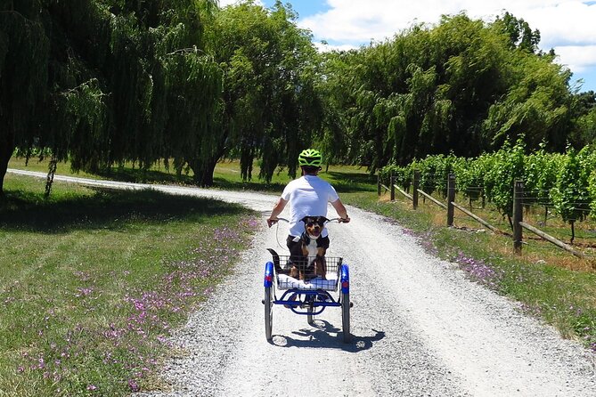 Self-Guided Wine Tours by Bike with Lorelle & Greg - Why Renwick is the right starting point