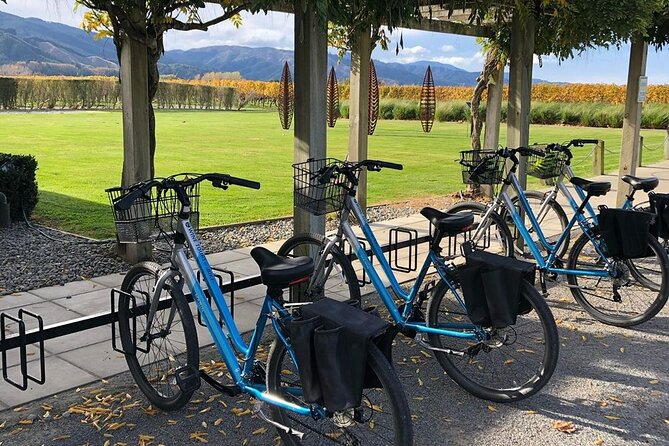 Self-Guided Wine Tours by Bike with Lorelle & Greg - Price and overall value