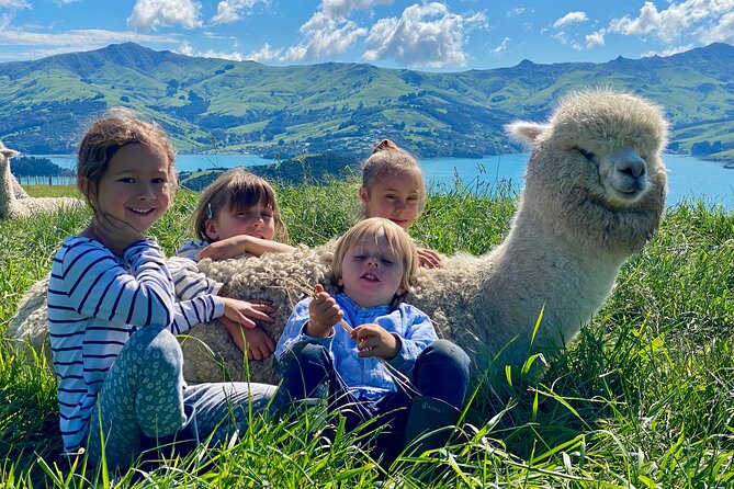 Shamarra Alpaca Farm Tours - Who will enjoy Shamarra most