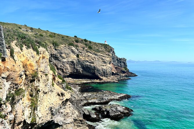 Shared Small Group Dunedin City and Peninsula Scenery Day Tour - Baldwin Street, a steep and quick photo stop