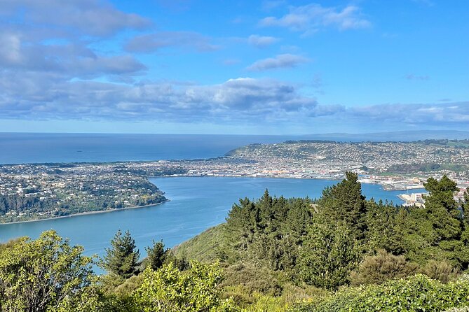 Shared Small Group Dunedin City and Peninsula Scenery Day Tour - Sir Leonard Wright Lookout and the Pacific coast