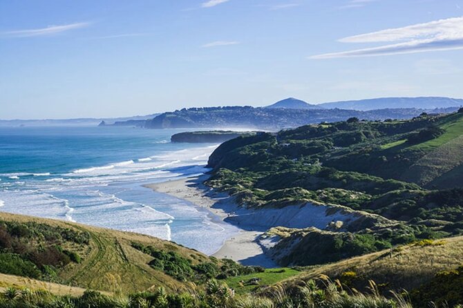 Shared Small Group Dunedin City and Peninsula Scenery Day Tour - The Royal Albatross Centre at Taiaroa Head