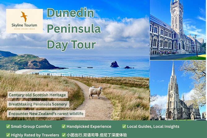 Shared Small Group Dunedin City and Peninsula Scenery Day Tour - Starting from Port Chalmers and reaching Signal Hill