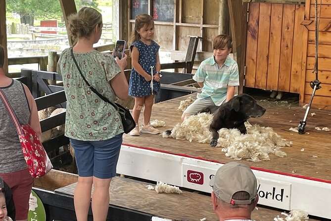 Sheep World Country Tour from Auckland - Who will enjoy this six-hour outing
