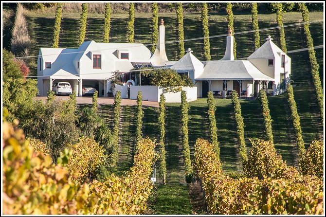 Shore Excursion: 4-Hour Discover Hawkes Bay and Napier Tour - Te Mata Peak and the widest view