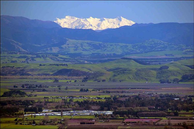 Shore Excursion: 4-Hour Discover Hawkes Bay and Napier Tour - Is the four-hour pace comfortable?