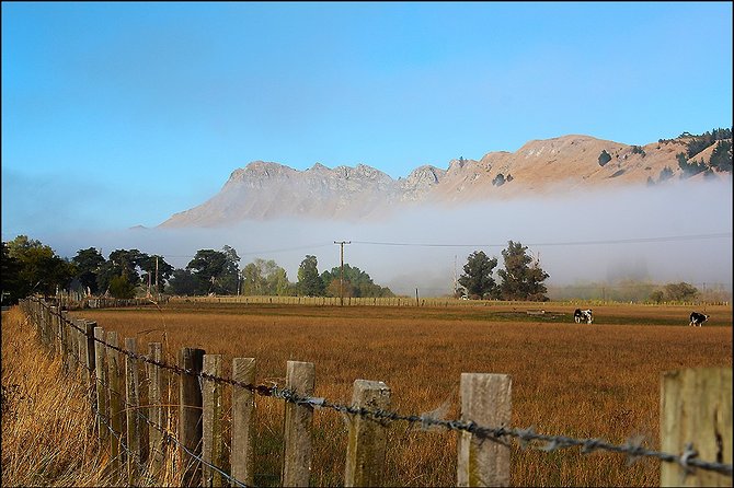 Shore Excursion: 4-Hour Discover Hawkes Bay and Napier Tour - What you receive for $83.78
