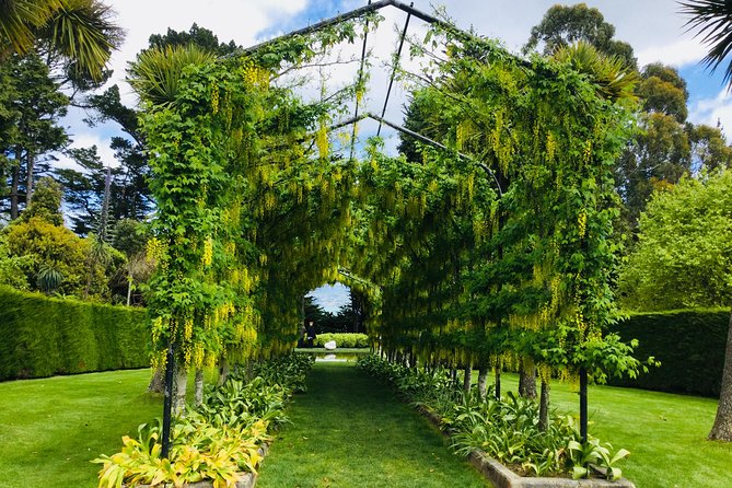 Shore Excursion: Dunedin City, Otago Peninsula, Castle Gardens & Olveston Tour - Larnach Castle Gardens offer time to slow down