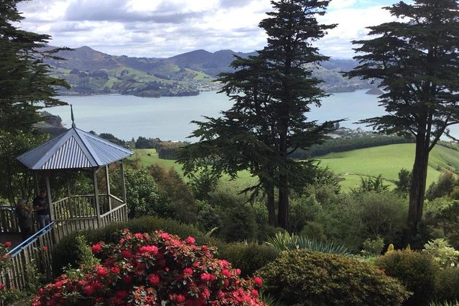 Shore Excursion: Dunedin City, Otago Peninsula, Castle Gardens & Olveston Tour - Baldwin Street and Signal Hill give you your bearings