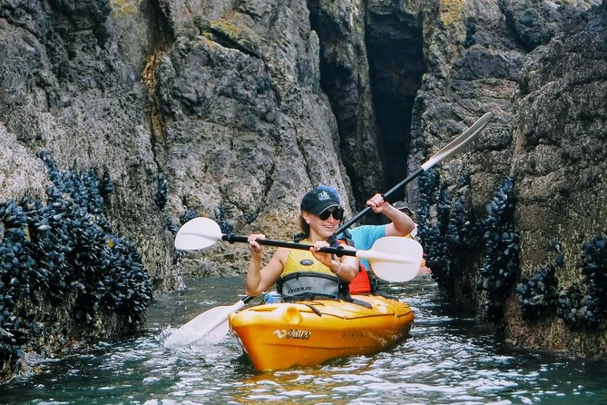 Shore Excursion Guided Sea Kayaking through Akaroa Marine Reserve - Why Akaroa is made for a kayak trip