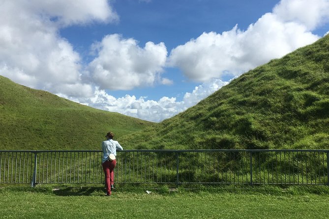 Shore Excursion: Half-Day Auckland Volcanoes Tour - Mike’s commentary shapes the experience