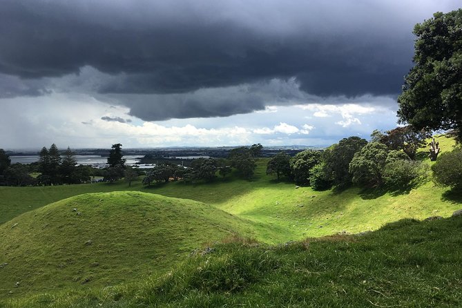 Shore Excursion: Half-Day Auckland Volcanoes Tour - How the private vehicle and group size affect value