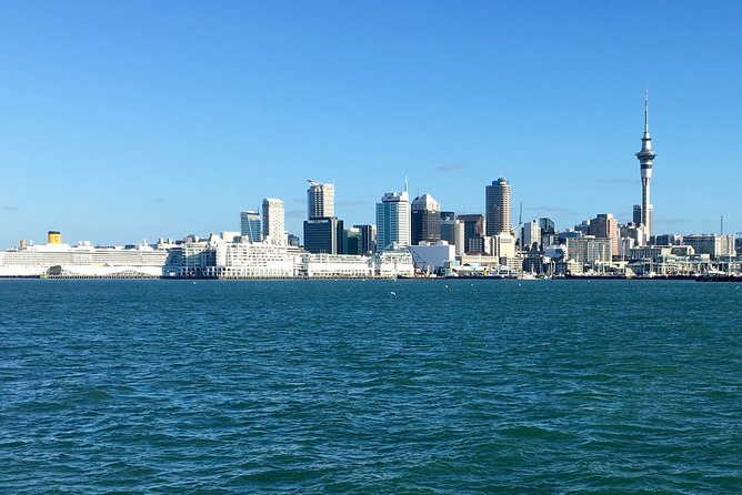 Shore Excursion: Half Day Small Group Auckland Scenic Tour - 4 HOURS - Mount Eden gives you Auckland from above