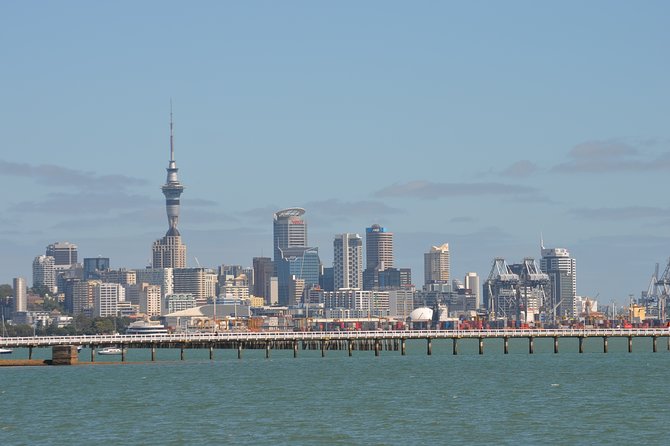 Shore Excursion: Half Day Small Group Auckland Scenic Tour - 4 HOURS - Tamaki Drive follows the coast toward Mission Bay