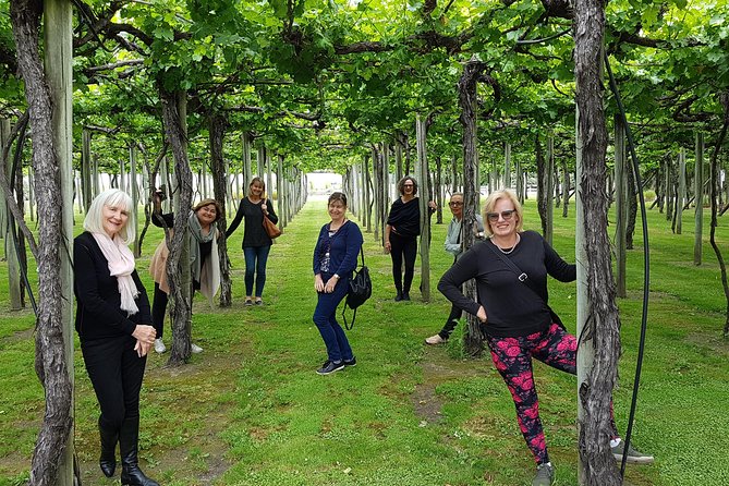 Shore Excursion Marlborough Wine Region Tour from Picton - What the $148.94 price includes