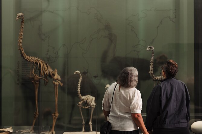 Skip the Line: Auckland Museum General Admission Ticket - Is the $16.76 ticket good value?