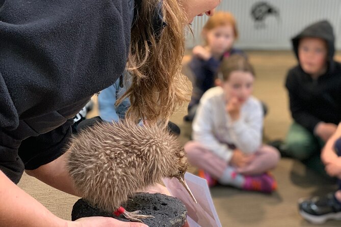 Skip the Line: Franz Josef Wildlife Center Ticket with Optional Backstage Pass - Key points to know before you go