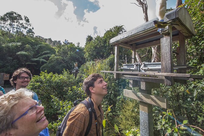Small Group Daytime 2-Hour Eco Wildlife Tour at Zealandia - Why Zealandia is different from a standard wildlife park