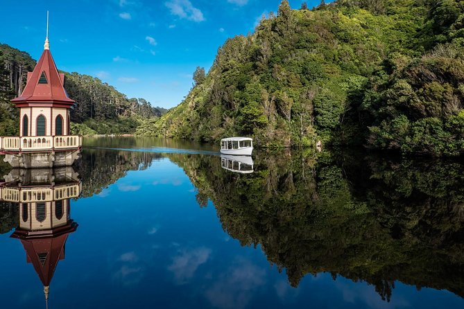 Small Group Daytime 2-Hour Eco Wildlife Tour at Zealandia - What the small-group format adds