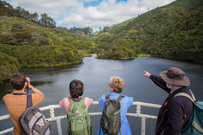 Small Group Daytime 2-Hour Eco Wildlife Tour at Zealandia - Is $43.44 good value?