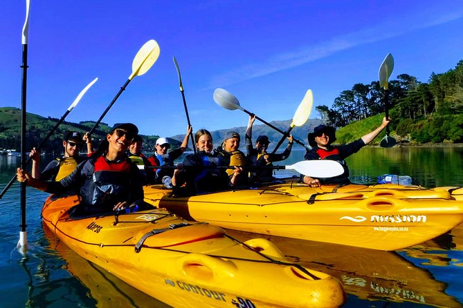 Small group guided sea kayaking in Akaroa marine reserve - Key points before you paddle