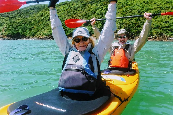 Small group guided sea kayaking in Akaroa marine reserve - Guides who shape the day