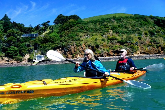Small group guided sea kayaking in Akaroa marine reserve - Wildlife watching from a quiet kayak