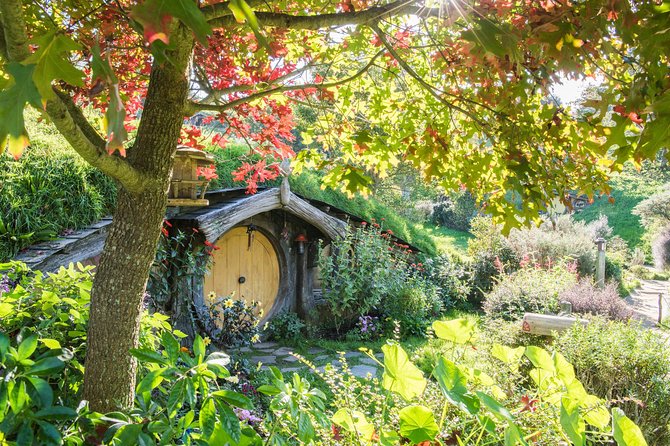 Small-Group Hobbiton and Waitomo Day Tour with Lunch from Auckland - The Taupiri coffee and comfort stop