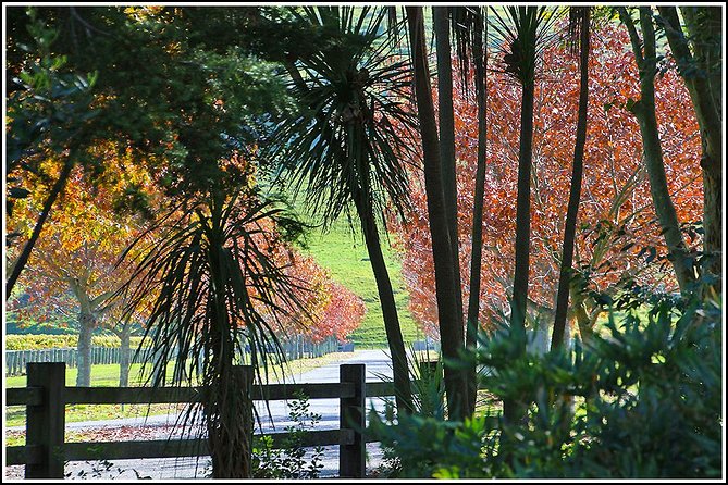 Small group - Napier Premium Wineries+ Beer tour -5.0 - 5.5 hours - Local guides make the driving time useful
