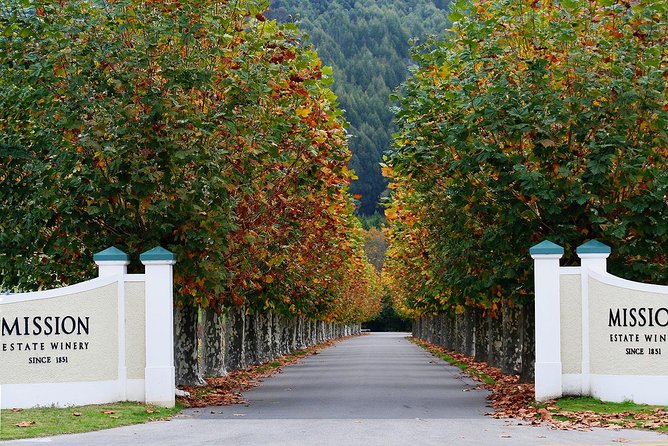 Small group - Napier Premium Wineries+ Beer tour -5.0 - 5.5 hours - Timing, group size, and practical details