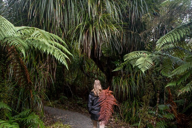 Small Group Northern Voyager 7 Days Tour - Day 5: Tongariro or More Time on Lake Taupo