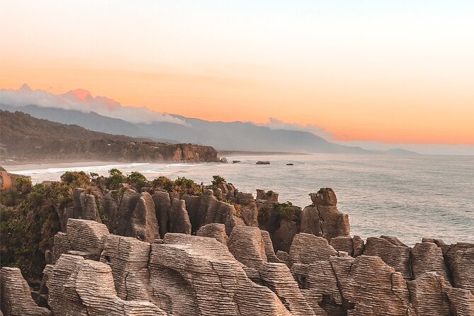 Small Group Southern Loop 7 Days Tour - Day 7: Kaikoura wildlife and the return to Christchurch
