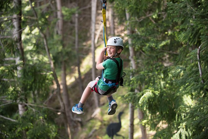 Small-Group Zipline Adventure in Queenstown - What the two-hour route feels like
