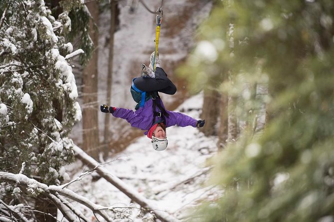 Small-Group Zipline Adventure in Queenstown - Is $73.85 a fair price?