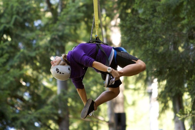 Small-Group Zipline Adventure in Queenstown - Should you book it?