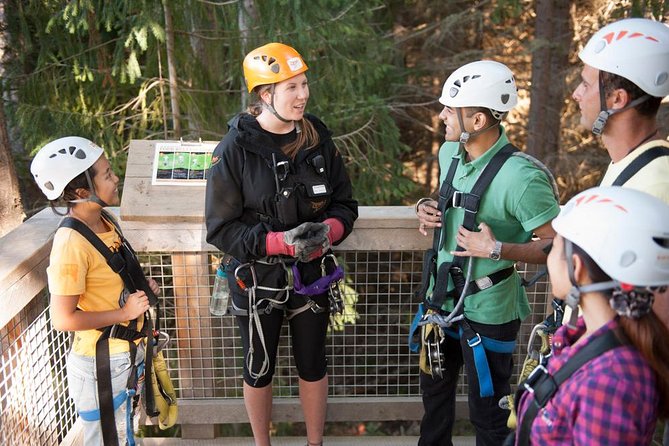 Small-Group Zipline Adventure in Queenstown - Choosing between the three zipline courses