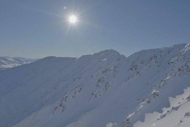 Southern Alps Scenic - What the Chest Peak landing adds